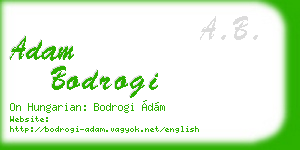 adam bodrogi business card